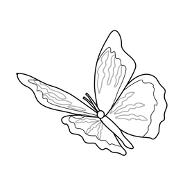 Butterfly flying black and white clipart