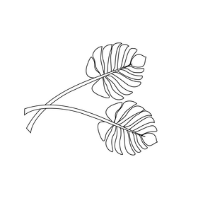 Palm leaf illustration black and white clipart