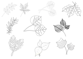Tree leaves black and white vector