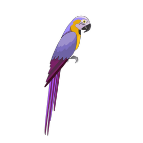 Purple parrot clipart