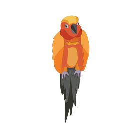 Orange parrot illustration clipart