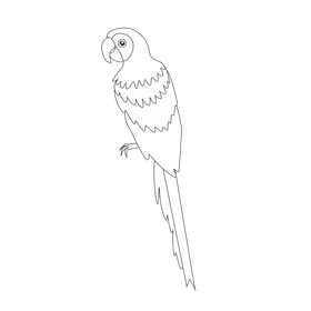 Free parrot black and white clipart