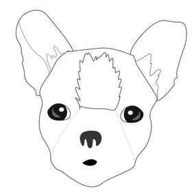 Boston terrier puppy black and white clipart