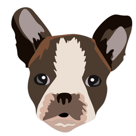 Boston terrier puppy clipart