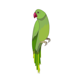 Green parrot cartoon clipart