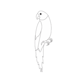 Parrot cartoon black and white clipart
