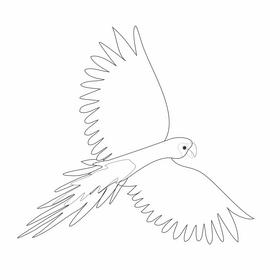 Cartoon parrot flying black and white clipart