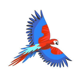 Cartoon parrot flying clipart