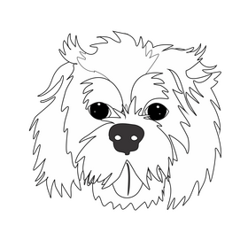 Cartoon cockapoo dog black and white clipart