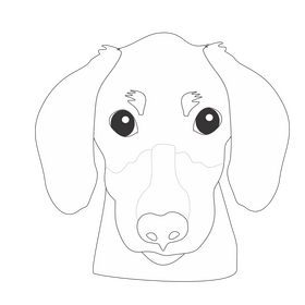 Dachshund dog illustration black and white clipart