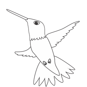 Hummingbird black and white clipart vector free download