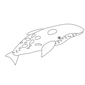 Whale drawing black and white clipart