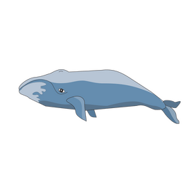 Whale cartoon clipart vector free download