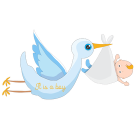 Stork carrying baby boy clipart