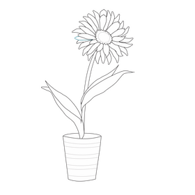 Potted gerbera daisy flower black and white clipart