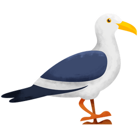 Seagull clipart