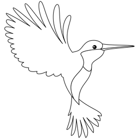 Hummingbird black and white clipart