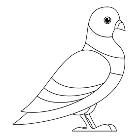 Pigeon black and white clipart