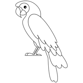 Parrot black and white clipart