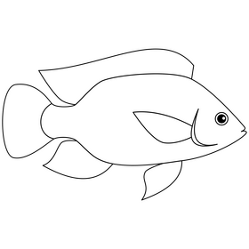 Tilapia fish black and white clipart