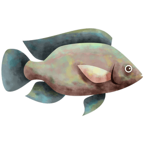 Tilapia fish clipart