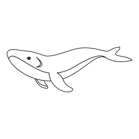 Whale smiling black and white clipart free download