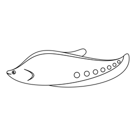 Clown knife fish black and white clipart
