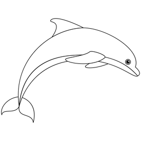 Dolphin Black And White Clipart Free Download