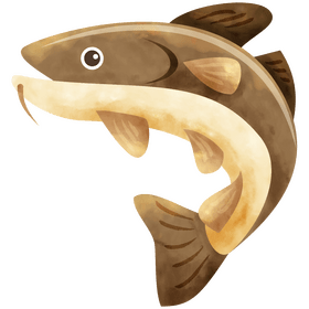 Cod fish clipart