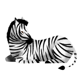 Zebra lying down clipart