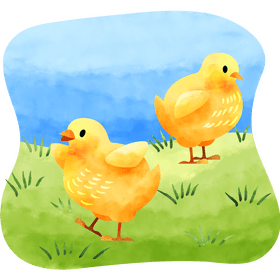 Chicks vector