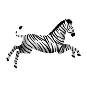 Zebra running clipart