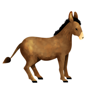 Donkey clipart