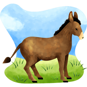 Donkey vector