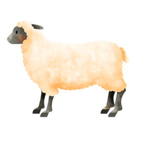 Sheep clipart