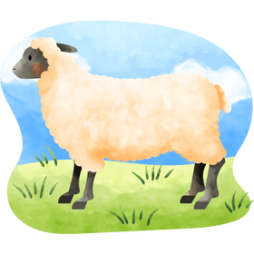 Sheep vector
