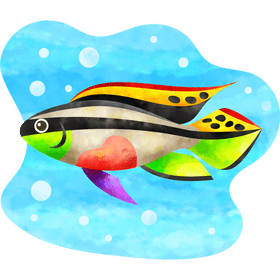 Kribensis fish vector