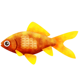 Wakin goldfish clipart