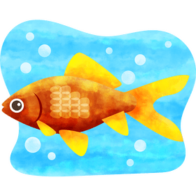 Wakin goldfish vector