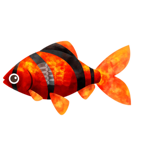 Red tiger barb fish clipart