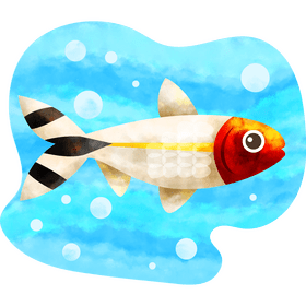Rummy nose tetra fish vector