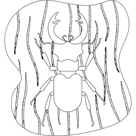 Stag beetle outline black and white clipart