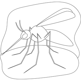 Mosquito outline black and white clipart