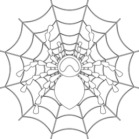 Tarantula outline black and white clipart
