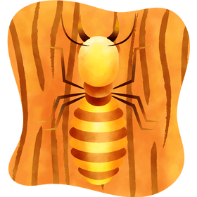 Termite vector