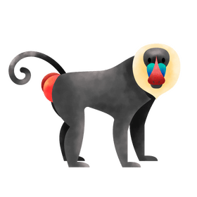 Baboon clipart