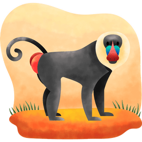 Baboon vector
