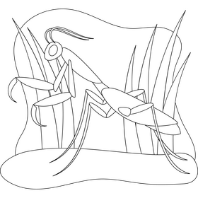 Praying mantis outline black and white clipart