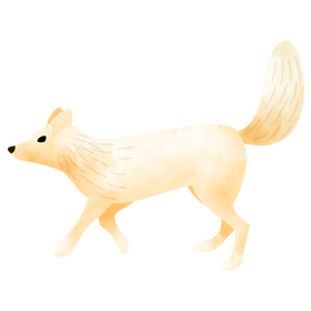 Arctic fox clipart