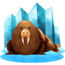 Walrus vector